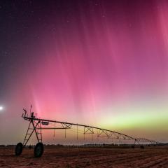 Aurora Georgia
