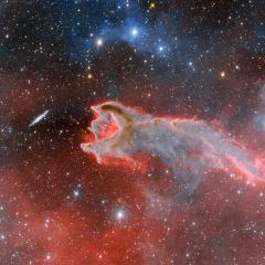 CG4: The Globule and the Galaxy