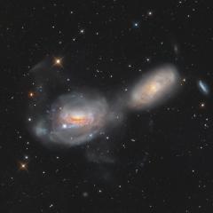 Unraveling NGC 3169