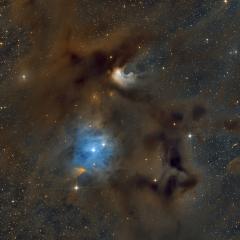 Chamaeleon I Molecular Cloud