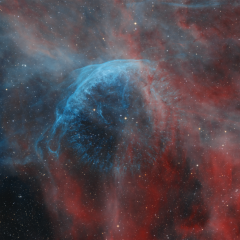 The Nebulous Realm of WR 134