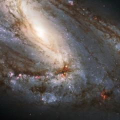 Messier 66 Close Up