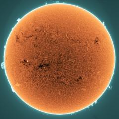 Prominences and Filaments on the Active Sun