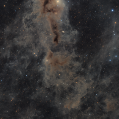Lynds Dark Nebula 1251