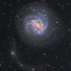 M83: Star Streams and a Thousand Rubies