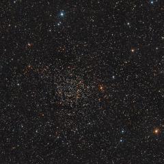 NGC 7789: Caroline s Rose