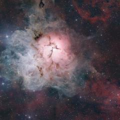 The Light, Dark, and Dusty Trifid