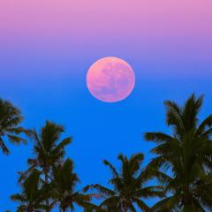 South Pacific Shadowset