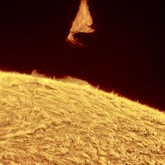 A Triangular Prominence Hovers Over the Sun