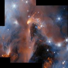 Young Star Cluster NGC 1333