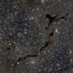 The Dark Seahorse of Cepheus