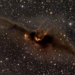 LDN 43: The Cosmic Bat Nebula