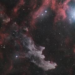 Rigel and the Witch Head Nebula