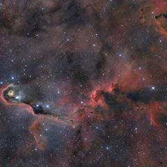 The Elephant s Trunk in Cepheus