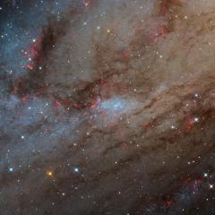 NGC 206 and the Star Clouds of Andromeda