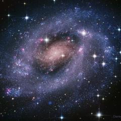NGC 300: A Galaxy of Stars
