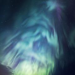Christmas Tree Aurora