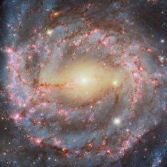 Grand Spiral NGC 5643