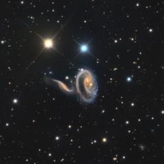 Peculiar Galaxies of Arp 273