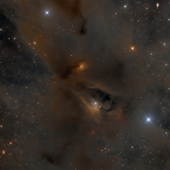 Young Stars, Dark Nebulae