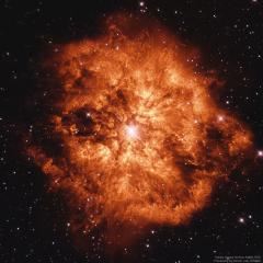 Wolf Rayet Star 124: Stellar Wind Machine