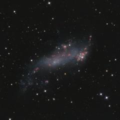 IC 2574: Coddington’s Nebula