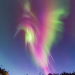 Auroral Hummingbird over Norway