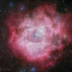A Cosmic Rose: NGC 2237 in Monoceros