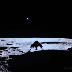 Blue Ghost on the Moon
