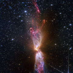 The Protostars within Lynds 483