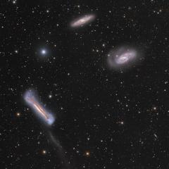 The Leo Trio