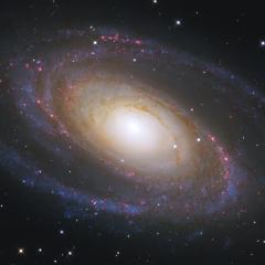 Messier 81