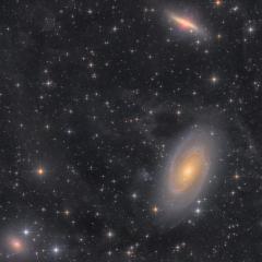 38 Hours in the M81 Group