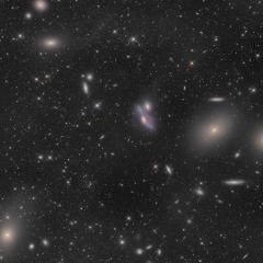 Virgo Cluster Galaxies