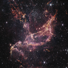 Young Star Cluster NGC 346