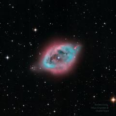 NGC 1360: The Robins Egg Nebula