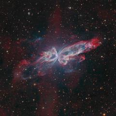 NGC 6302: The Butterfly Nebula