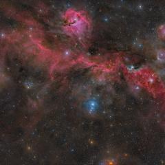 The Seagull Nebula