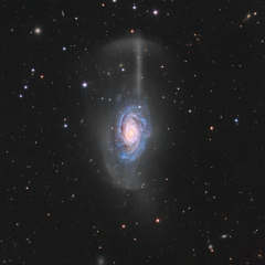 NGC 4651: The Umbrella Galaxy