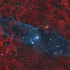 Ou4: The Giant Squid Nebula