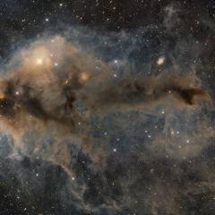 Lynds Dark Nebula 1251