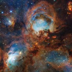 Cats Paw Nebula from Webb Space Telescope