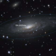Supernova 2025rbs in NGC 7331