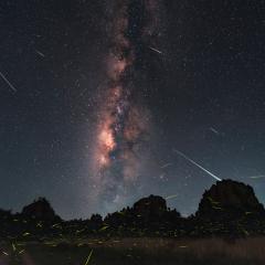 Fireflies, Meteors, and Milky Way