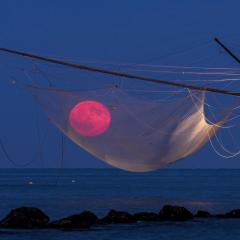 Fishing for the Moon