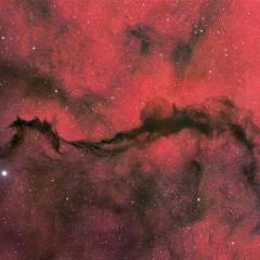 A Dark Veil in Ophiuchus