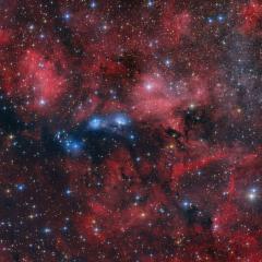 The NGC 6914 Complex