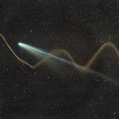 Two Tails of Comet Lemmon
