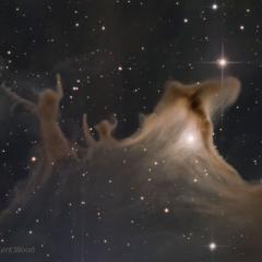 Dust Shapes of the Ghost Nebula