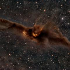 Lynds Dark Nebula 43